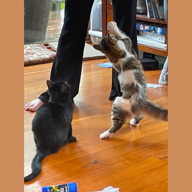 Photo of Bonnie And Floofy