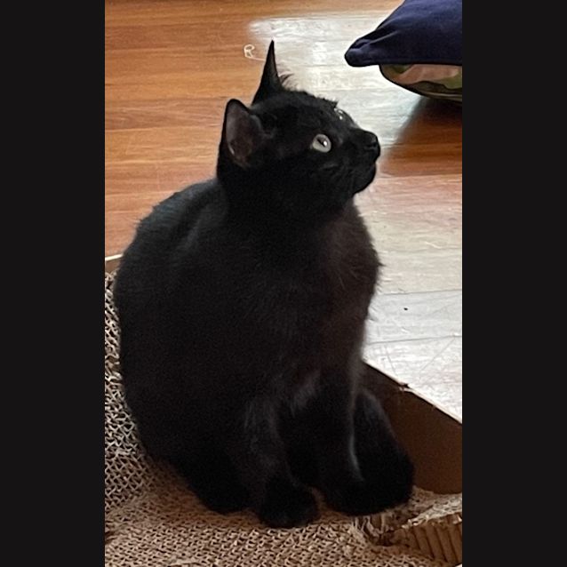 Photo of Bonnie And Floofy