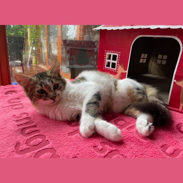 Photo of Bonnie And Floofy