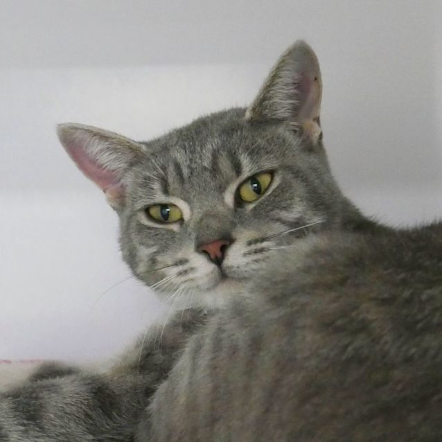 Photo of Carly Sua009830