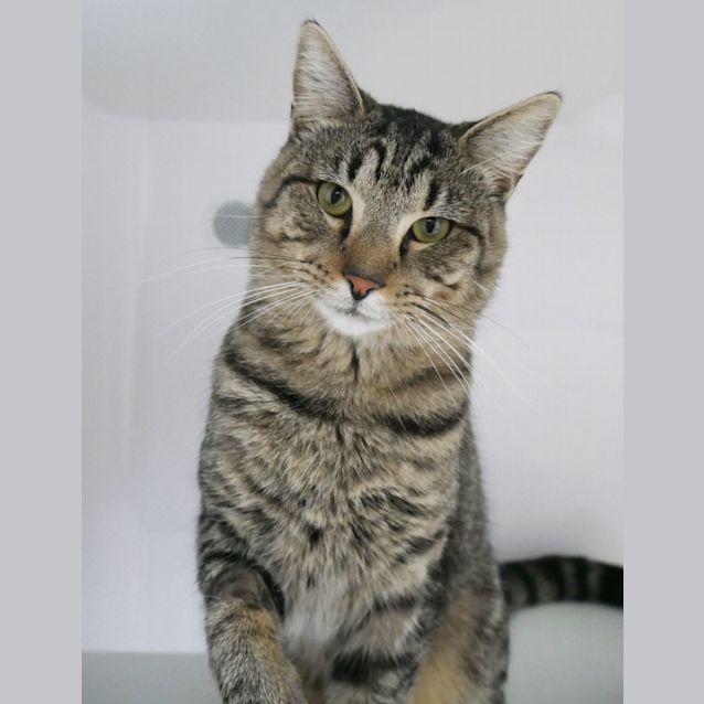 Photo of Jack Sua009811