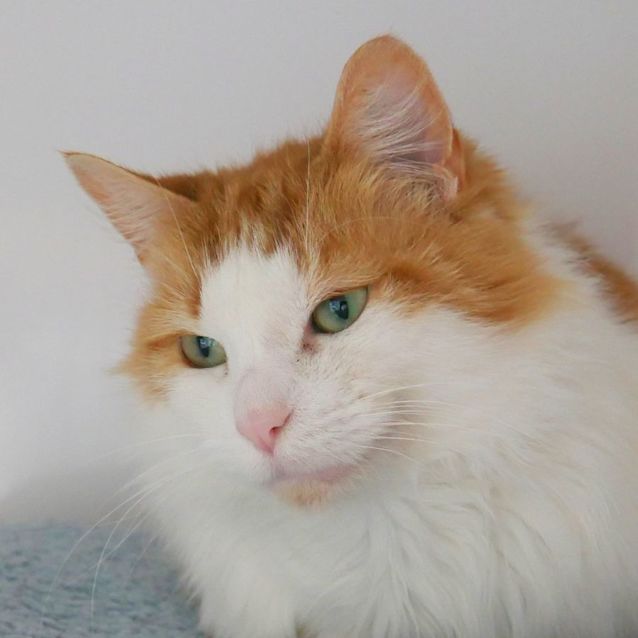 Photo of Amber Sua009495