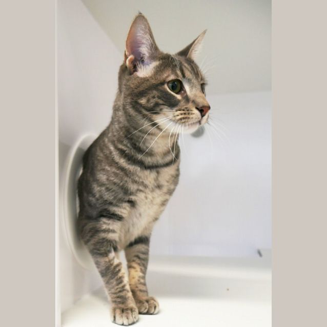 Photo of Sakinah Sua009791