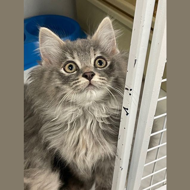 Photo of Maeve