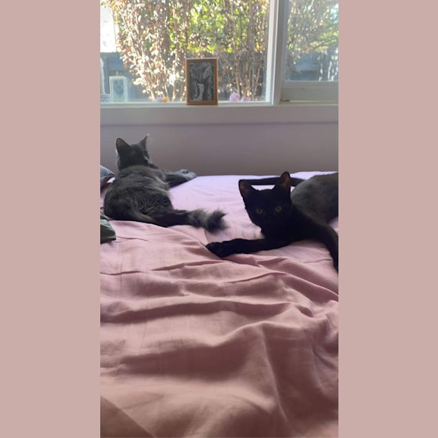 Photo of Pixie And Blair 