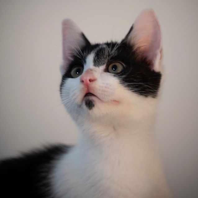 Photo of Andy