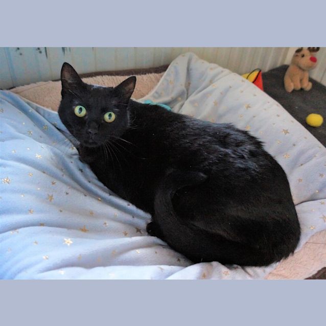 Photo of Gert
