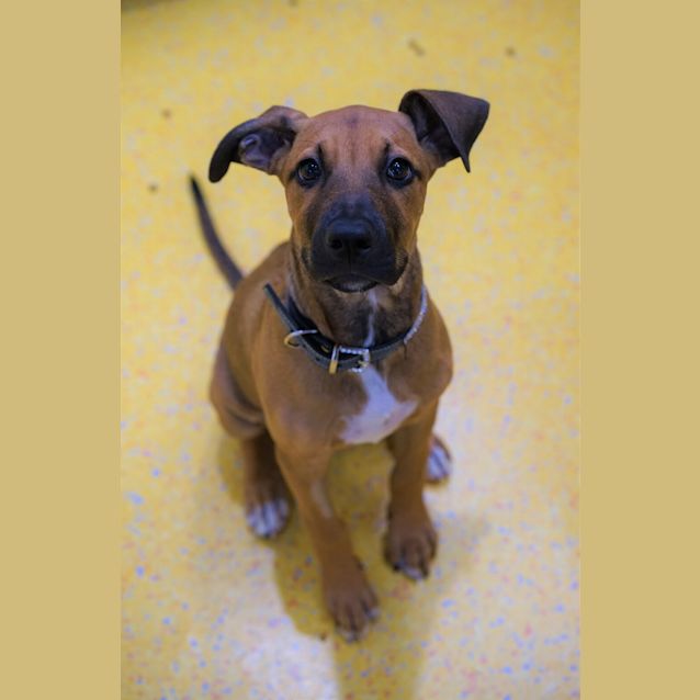 Photo of Coco