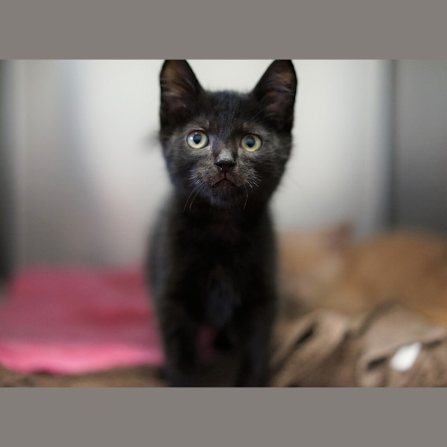 Photo of Elroy