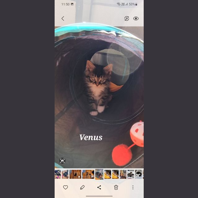 Photo of Atlas And Neptune