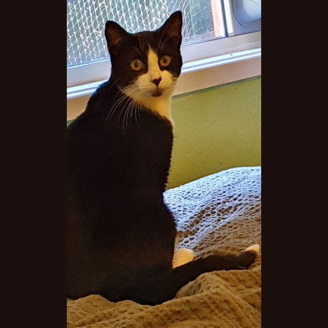Photo of Gabby