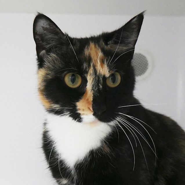 Photo of Violet Sua009805