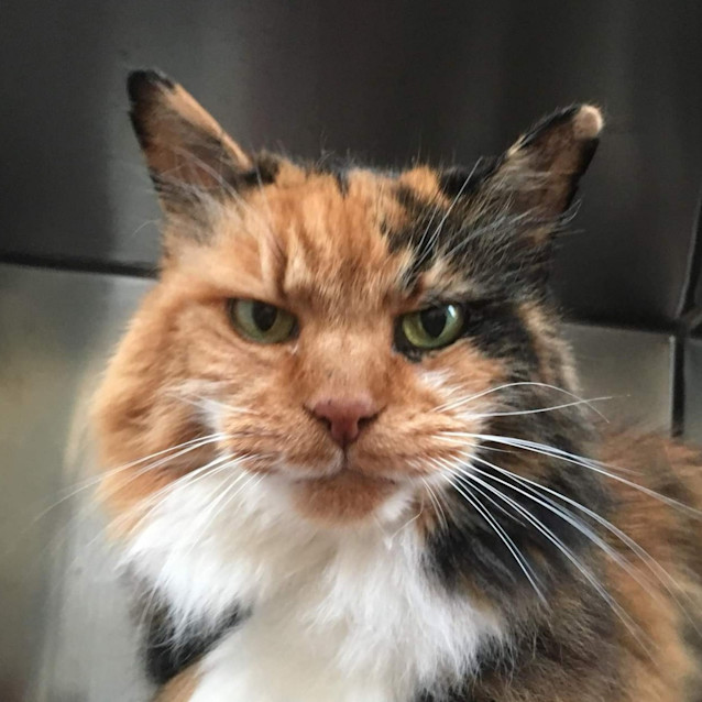 Photo of Bonita