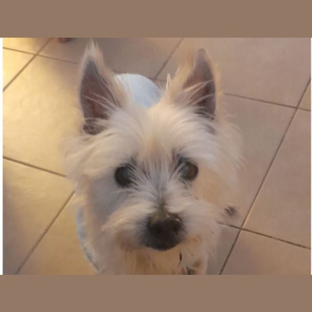 Photo of Bill Underhill 