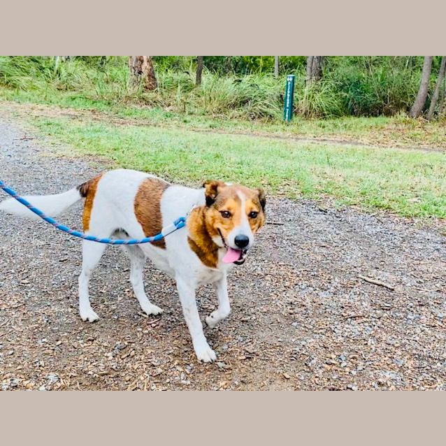 Photo of Baxter