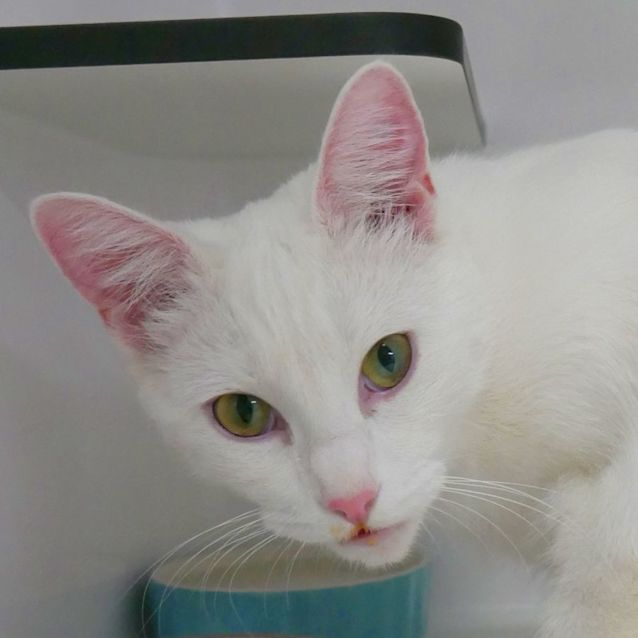 Photo of Ernestine Sua009648