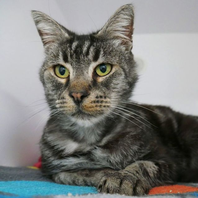 Photo of Alfred Sua009758