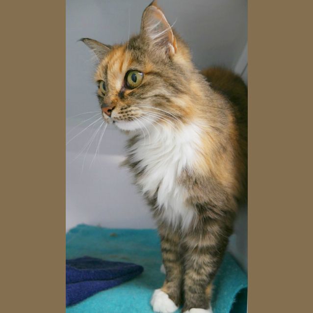 Photo of Charlie Sua009833