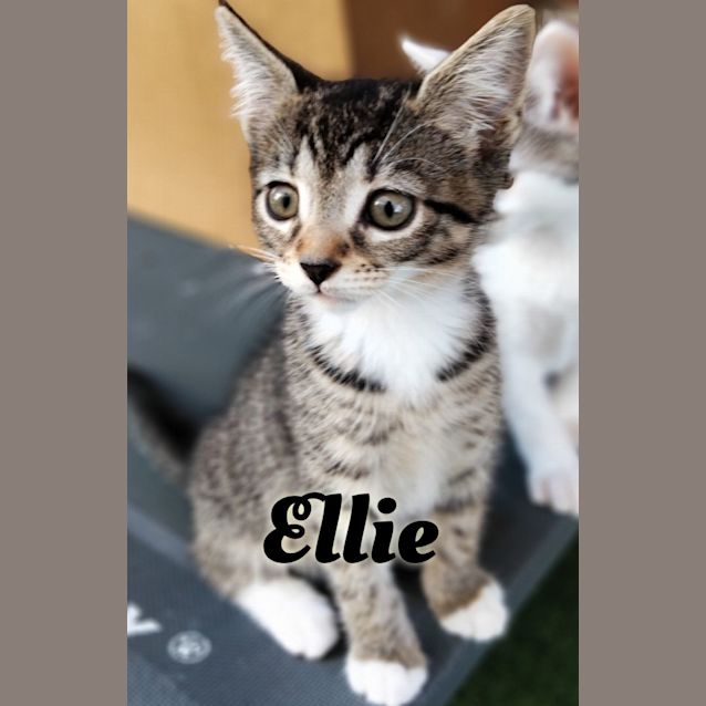 Photo of Ellie
