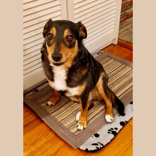 Photo of Rocket