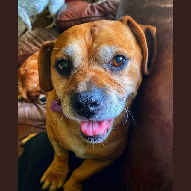 Photo of Max