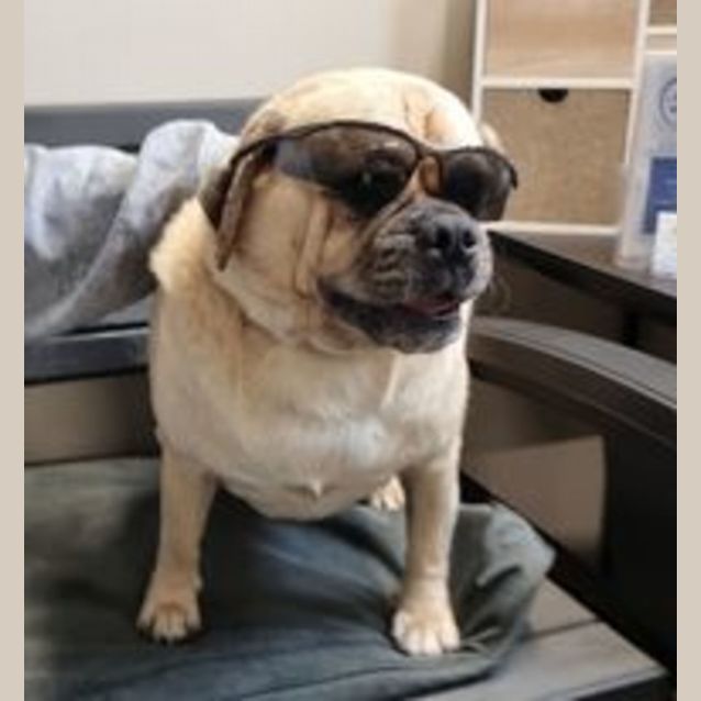 Photo of Gangsta