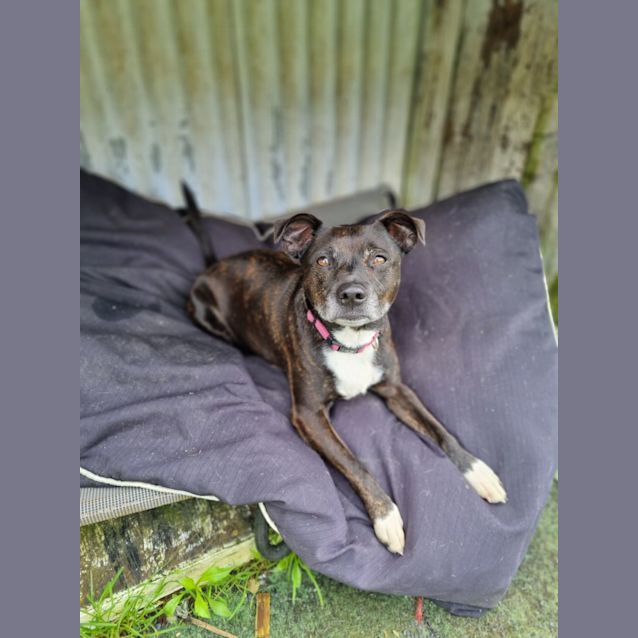 Photo of Mitzy