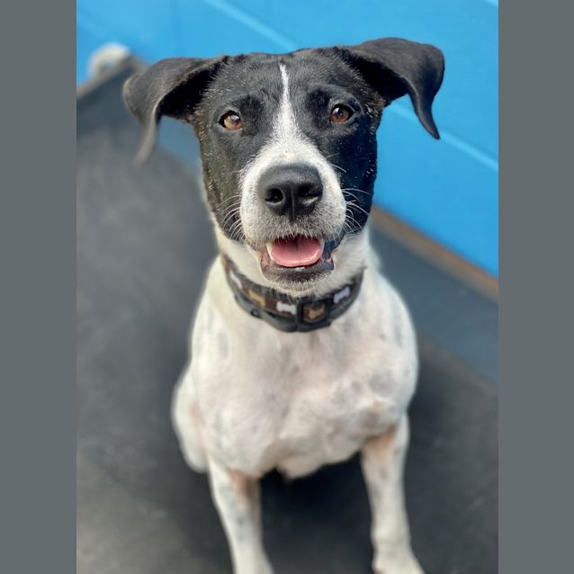 Photo of Luna