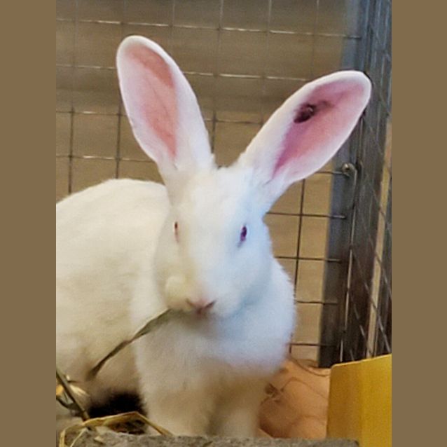 Photo of Debbie