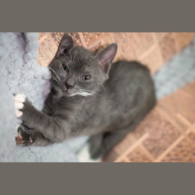 Photo of Maxxie 