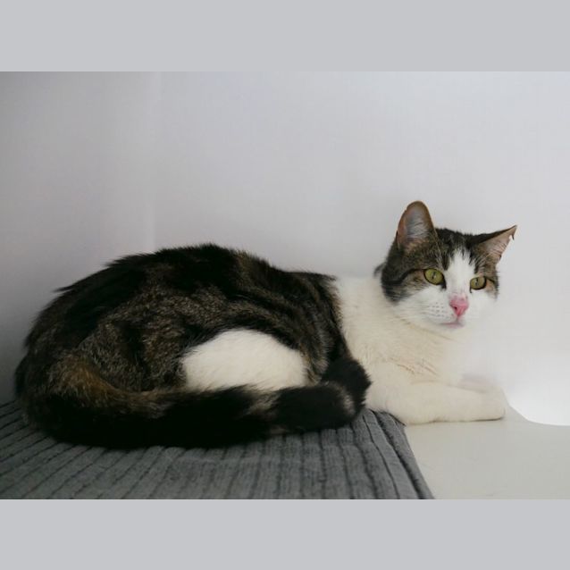 Photo of Bobby Rsua009255