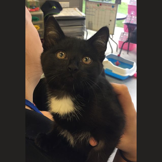 Photo of Spud