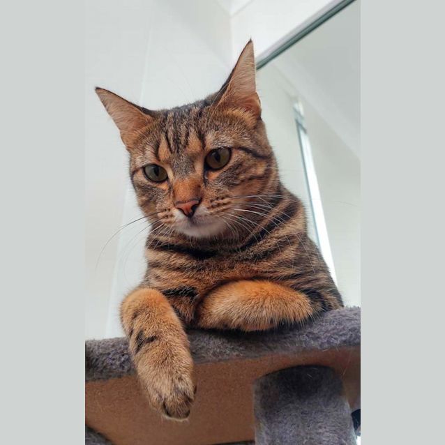 Photo of Louie 