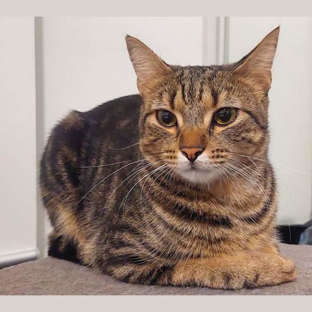 Photo of Louie 
