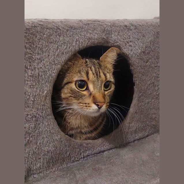 Photo of Louie 