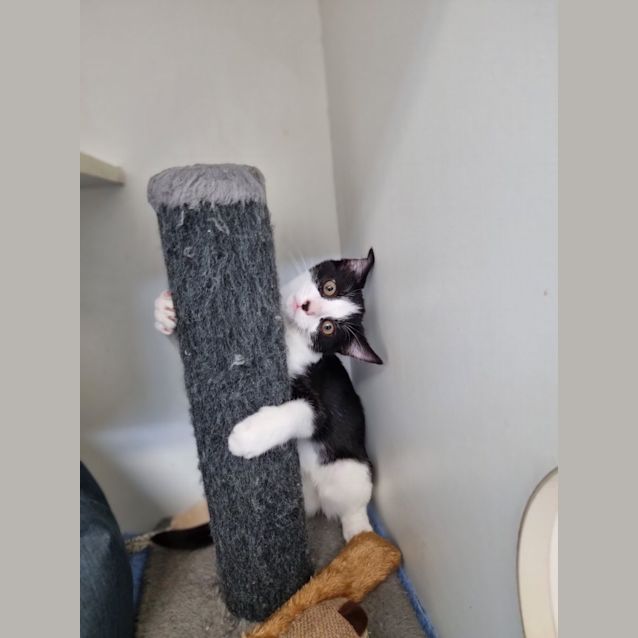 Photo of Patty