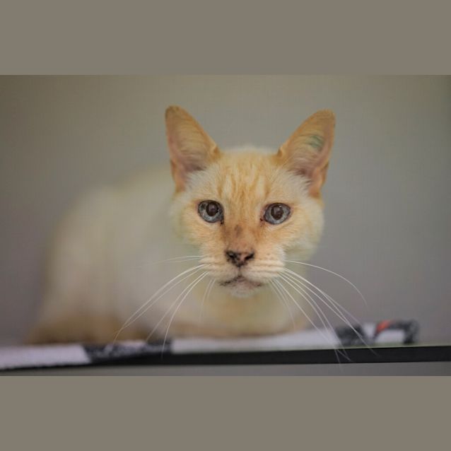 Photo of Statler