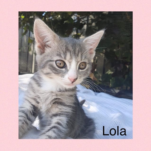 Photo of Lola