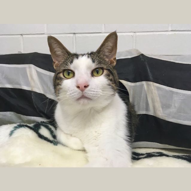 Photo of Martin & Becca