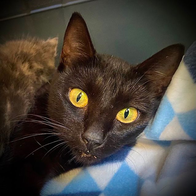 Photo of Sabrina Spellman