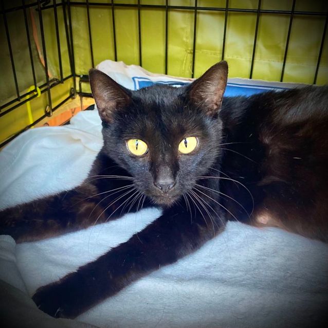 Photo of Sabrina Spellman