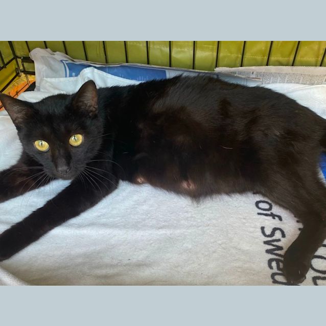 Photo of Sabrina Spellman