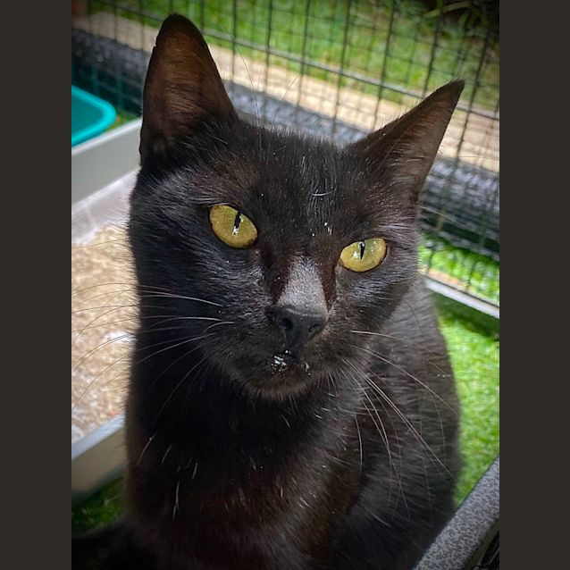 Photo of Sabrina Spellman