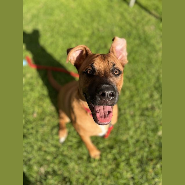 Photo of Theodore