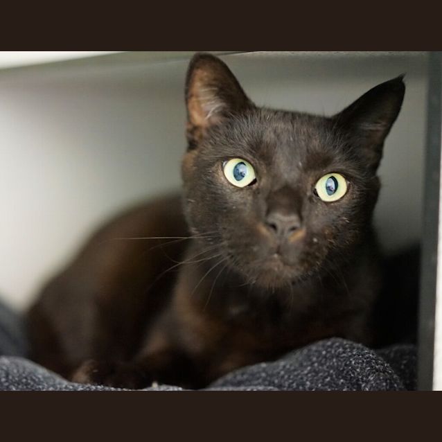 Photo of Gus