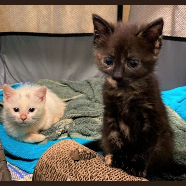 Photo of Winnie & Wally