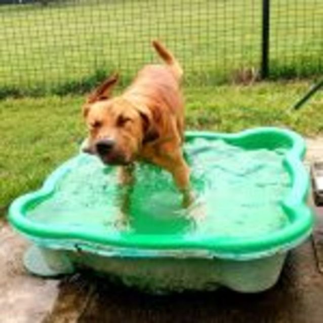 Photo of Arlo