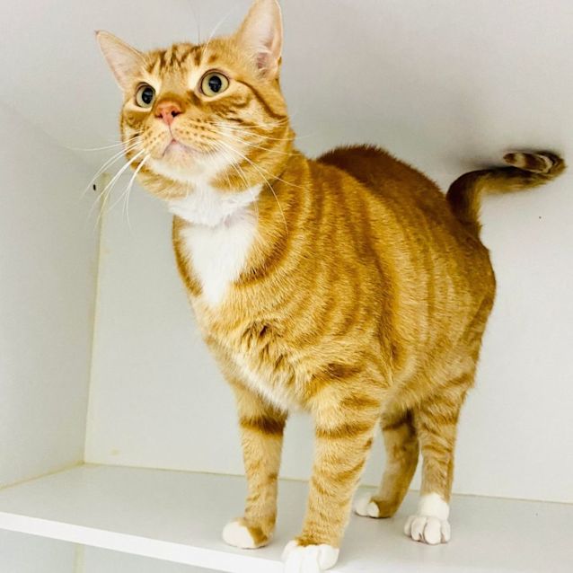 Photo of Alby   Located In Melbourne