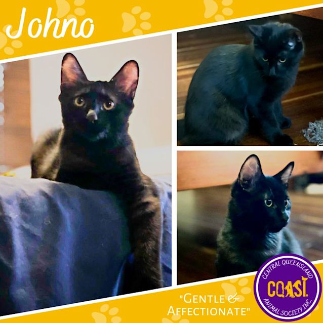 Photo of Johno