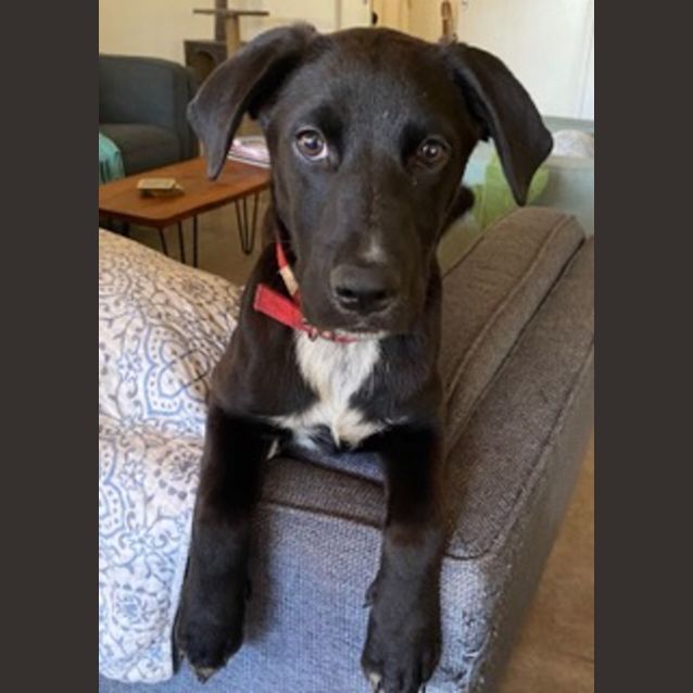 Photo of D754 Reggie